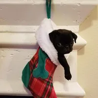 processed/eaba93f2-d7f6-449a-a1cb-8307e57ec13e/facility/b93e4d02-9584-4617-90ad-72a11ea640bd