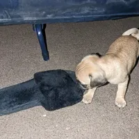 processed/eaba93f2-d7f6-449a-a1cb-8307e57ec13e/facility/ce6c5f8d-2f54-4def-a2ea-2f25ba316b3c