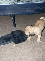 processed/eaba93f2-d7f6-449a-a1cb-8307e57ec13e/facility/ce6c5f8d-2f54-4def-a2ea-2f25ba316b3c