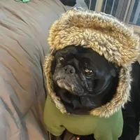 processed/eaba93f2-d7f6-449a-a1cb-8307e57ec13e/facility/d977548a-67ea-4e8b-8b7a-6aa287b7be01