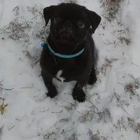 processed/eaba93f2-d7f6-449a-a1cb-8307e57ec13e/facility/ef345e81-5adc-40c6-8c39-4c0a9a379b90