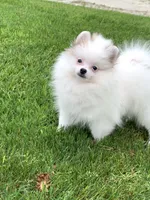 processed/eac6c89c-e13b-4865-819e-480a8ccd6ee4/facility/c53e1213-f64b-4c1c-8e76-d0877cdc4993