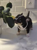 processed/eac8489d-ec57-492f-90ee-0edb0b84de8f/listing/f9fd3a8b-1d55-4027-b7b1-c6a77d882ba9/7e10c7de-4aba-45e5-8cb0-e787f24e8646