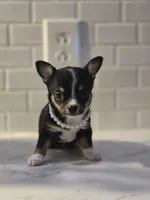 processed/eac8489d-ec57-492f-90ee-0edb0b84de8f/listing/f9fd3a8b-1d55-4027-b7b1-c6a77d882ba9/96f71388-e74b-4f20-b836-fb322a75b230