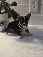 processed/eac8489d-ec57-492f-90ee-0edb0b84de8f/listing/f9fd3a8b-1d55-4027-b7b1-c6a77d882ba9/a39d1005-8088-402a-a467-30c2711eecf8