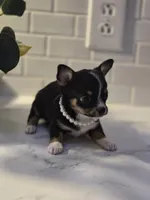 processed/eac8489d-ec57-492f-90ee-0edb0b84de8f/listing/f9fd3a8b-1d55-4027-b7b1-c6a77d882ba9/beafe5a5-bd0b-441e-9003-0f445157697a