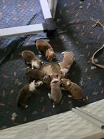 Facility photo