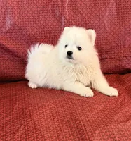 processed/ead35ecd-efa1-4859-8e08-9a8e346fe47e/listing/ecc1c4c3-d635-47d3-b05a-eed680895abd/42178dca-fc16-4ca3-bb76-9aa8dda8830d