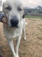 processed/eadac645-3084-45cc-b850-b950933f3269/facility/0261433c-147e-4645-8101-7e24b92606c5