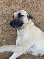 processed/eadac645-3084-45cc-b850-b950933f3269/facility/104168bb-0bb3-4eaa-aaad-25ac75f1f3a6