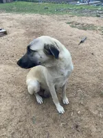 processed/eadac645-3084-45cc-b850-b950933f3269/facility/430e7e14-303b-43b8-852c-9be2b426cbfb