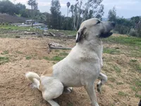 processed/eadac645-3084-45cc-b850-b950933f3269/facility/7ec2ffd5-2efb-4f29-aed1-4f153d50b5b3