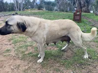 processed/eadac645-3084-45cc-b850-b950933f3269/facility/adae846c-e5a2-4e6b-b6f5-6c3e95e3bee5