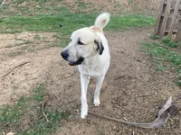 processed/eadac645-3084-45cc-b850-b950933f3269/facility/af5f02c5-4062-461d-a790-06929e5ff042