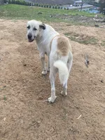 processed/eadac645-3084-45cc-b850-b950933f3269/facility/daa03dad-b09c-4d27-854f-39ddb705f09f