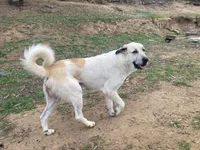 processed/eadac645-3084-45cc-b850-b950933f3269/facility/e263fc4b-51e9-48c8-ba16-6cd0c79671aa