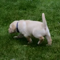 processed/eae4a3bc-c96d-41fd-a47d-69ddda70db2e/facility/14940fde-2da2-4a81-b986-d52bc9f4ad87