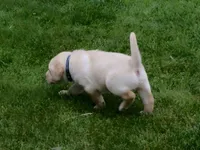 processed/eae4a3bc-c96d-41fd-a47d-69ddda70db2e/facility/14940fde-2da2-4a81-b986-d52bc9f4ad87