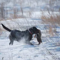 processed/eae4a3bc-c96d-41fd-a47d-69ddda70db2e/facility/3c1f44f7-e337-42ed-8b1f-ccb6a957bf05