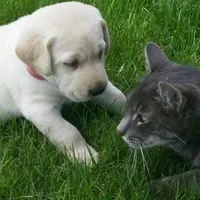 processed/eae4a3bc-c96d-41fd-a47d-69ddda70db2e/facility/3cff4fdc-3818-4bd2-81a6-80462b10b277