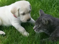 processed/eae4a3bc-c96d-41fd-a47d-69ddda70db2e/facility/3cff4fdc-3818-4bd2-81a6-80462b10b277