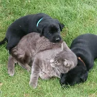 processed/eae4a3bc-c96d-41fd-a47d-69ddda70db2e/facility/673e19dd-bb00-4d61-8d20-e8caed330601