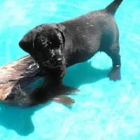 processed/eae4a3bc-c96d-41fd-a47d-69ddda70db2e/facility/a1a70eda-1f7b-4810-bc59-217e2cba3a9b