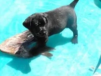 processed/eae4a3bc-c96d-41fd-a47d-69ddda70db2e/facility/a1a70eda-1f7b-4810-bc59-217e2cba3a9b