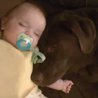 processed/eae4a3bc-c96d-41fd-a47d-69ddda70db2e/facility/a375a0a8-9150-47dd-8ea0-fe788f579e1c