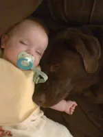 processed/eae4a3bc-c96d-41fd-a47d-69ddda70db2e/facility/a375a0a8-9150-47dd-8ea0-fe788f579e1c