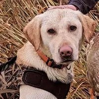 processed/eae4a3bc-c96d-41fd-a47d-69ddda70db2e/facility/edb85001-bbdb-4ba1-9bae-09a08c988719