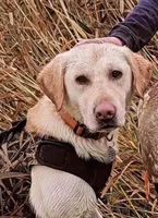 processed/eae4a3bc-c96d-41fd-a47d-69ddda70db2e/facility/edb85001-bbdb-4ba1-9bae-09a08c988719