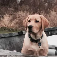 processed/eae4a3bc-c96d-41fd-a47d-69ddda70db2e/facility/f28d0ef4-27ce-4986-be86-e6449f90c6d1