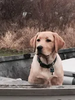 processed/eae4a3bc-c96d-41fd-a47d-69ddda70db2e/facility/f28d0ef4-27ce-4986-be86-e6449f90c6d1