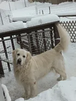 processed/eaf1e4c9-2c71-4850-a65e-0b657fc3c11a/facility/37ecbc37-e92b-40b7-947b-d41b2a1da725