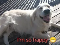 processed/eaf1e4c9-2c71-4850-a65e-0b657fc3c11a/facility/3d611aa6-058e-44a9-a4cf-03b09abae6f6