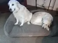 processed/eaf1e4c9-2c71-4850-a65e-0b657fc3c11a/facility/55e5beb1-921d-4416-90c7-0819d63a59bb