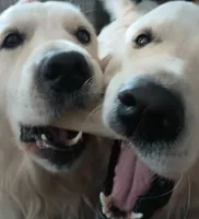 processed/eaf1e4c9-2c71-4850-a65e-0b657fc3c11a/facility/578b9ef3-efad-4155-9991-ac2a1b174be8