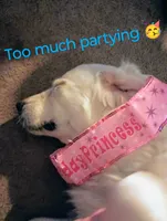 processed/eaf1e4c9-2c71-4850-a65e-0b657fc3c11a/facility/b4e34f1f-b198-4c84-96f2-4198704c8f21