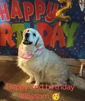 processed/eaf1e4c9-2c71-4850-a65e-0b657fc3c11a/facility/cc50e44a-9497-4374-80ff-c6a06a11a7dd