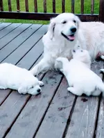 processed/eaf1e4c9-2c71-4850-a65e-0b657fc3c11a/facility/fcbe7be0-b79d-4a4a-82e6-2e2898649771