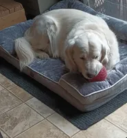 processed/eaf1e4c9-2c71-4850-a65e-0b657fc3c11a/facility/ffe78287-0e97-4bfa-899c-0193e8e1e23d