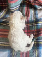 processed/eaf8783a-76f5-40c4-8d7b-59ef5e4e7cac/listing/11441231-3a5e-40cf-8088-77347541666f/25625c2d-5753-4055-b5b9-58c8cab8f347