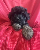 processed/eaf8783a-76f5-40c4-8d7b-59ef5e4e7cac/listing/8c722b1b-1b79-494f-b8dd-7e4d74eee600/52494ea4-b3fe-40fe-bf48-1b43006e096e