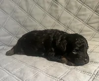 processed/eaf8783a-76f5-40c4-8d7b-59ef5e4e7cac/listing/8c722b1b-1b79-494f-b8dd-7e4d74eee600/7e1ac16b-6620-48f5-af4e-e1ed3b0a4889