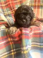 processed/eaf8783a-76f5-40c4-8d7b-59ef5e4e7cac/listing/8c722b1b-1b79-494f-b8dd-7e4d74eee600/d2046fe1-320a-4434-803b-3b4197d89638