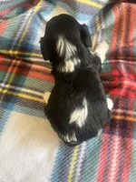 processed/eaf8783a-76f5-40c4-8d7b-59ef5e4e7cac/listing/f1521ed5-94ad-4b2e-9afc-ae56a8f0d03c/31bddb7a-cbf1-42e6-982a-c82e9a1597fe