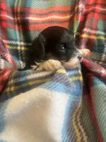 processed/eaf8783a-76f5-40c4-8d7b-59ef5e4e7cac/listing/f1521ed5-94ad-4b2e-9afc-ae56a8f0d03c/598772ca-c0a5-4b66-9a53-b73343835c18