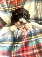 processed/eaf8783a-76f5-40c4-8d7b-59ef5e4e7cac/listing/f1521ed5-94ad-4b2e-9afc-ae56a8f0d03c/92ecb40e-44d7-48a1-97ab-9d3f0411750c