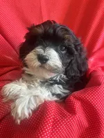 processed/eaf8783a-76f5-40c4-8d7b-59ef5e4e7cac/listing/f1521ed5-94ad-4b2e-9afc-ae56a8f0d03c/fef47f9e-090c-4ee9-8c8c-d25ab0ce7b06